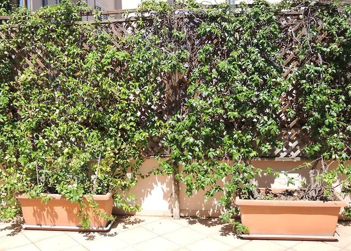 Apartment Casa Centro Storico